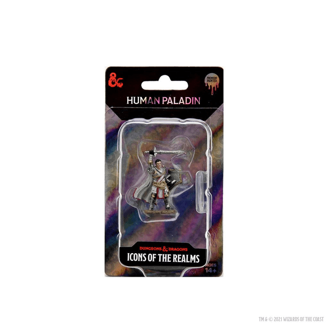 Dungeons &amp; Dragons: Icons of the Realm Human Paladin Miniature